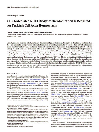 CHP1-Mediated NHE1 Biosynthetic Maturation Is Required for Purkinje Cell Axon Homeostasis thumbnail