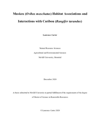 Muskox «Ovibos moschatus» habitat associations and interactions with caribou «Rangifer tarandus» thumbnail