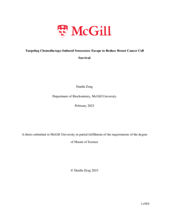 Targeting Chemotherapy-Induced Senescence Escape to Reduce Breast Cancer Cell Survival thumbnail