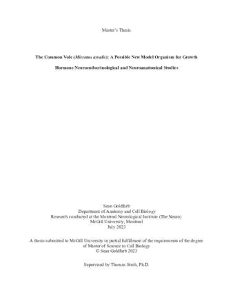 The Common Vole (Microtus arvalis): A Possible New Model Organism for Growth Hormone Neuroendocrinological and Neuroanatomical Studies thumbnail