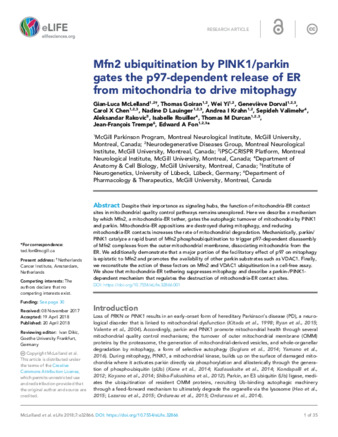 Mfn2 ubiquitination by PINK1/parkin gates the p97-dependent release of ER from mitochondria to drive mitophagy thumbnail