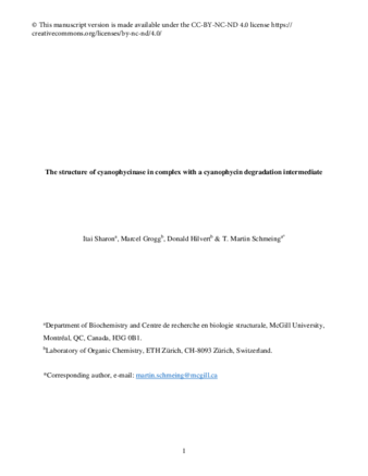 The structure of cyanophycinase in complex with a cyanophycin degradation intermediate thumbnail