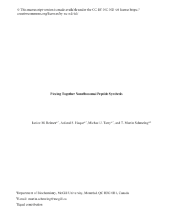 Piecing together nonribosomal peptide synthesis thumbnail