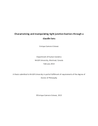 Characterizing and manipulating tight junction barriers through a claudin lens thumbnail