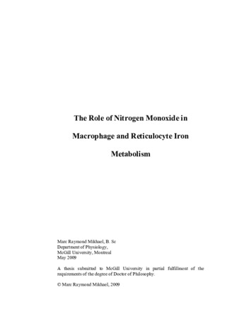 The role of nitrogen monoxide in macrophage and reticulocyte iron metabolism thumbnail
