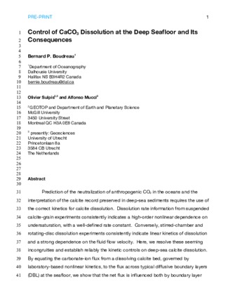 Control of CaCO₃ dissolution at the seafloor and its consequences thumbnail