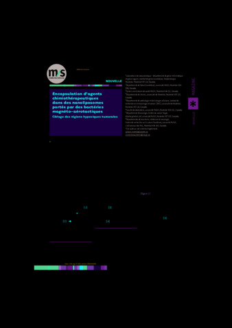 Encapsulation d’agents chimiothérapeutiques dans des nanoliposomes portés par des bactéries magnéto-aérotactiques thumbnail