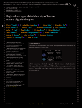 Regional and age-related diversity of human mature oligodendrocytes thumbnail