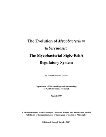 The evolution of «Mycobacterium tuberculosis»: the mycobacterial SigK-RskA regulatory system thumbnail