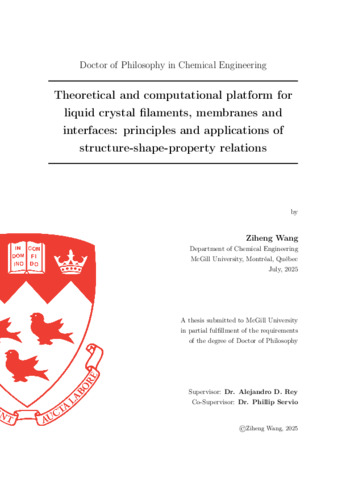 Theoretical and computational platform for liquid crystal filaments, membranes and interfaces: principles and applications of structure-shape-property relations thumbnail