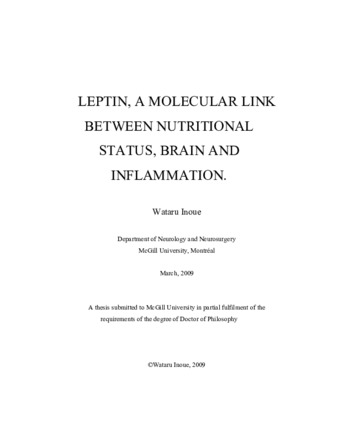 Dissertation vs thesis picture