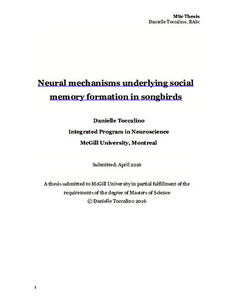 Neural mechanisms underlying social memory formation in songbirds thumbnail