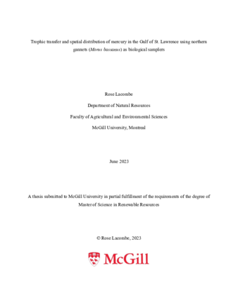 Trophic transfer and spatial distribution of mercury in the Gulf of St. Lawrence using northern gannets «Morus bassanus» as biological samplers thumbnail