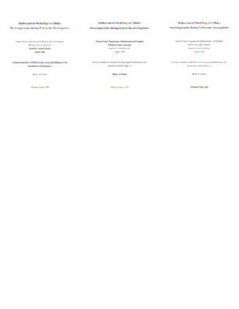 Mathematical modelling of cellular rearrangements during embryonic development thumbnail