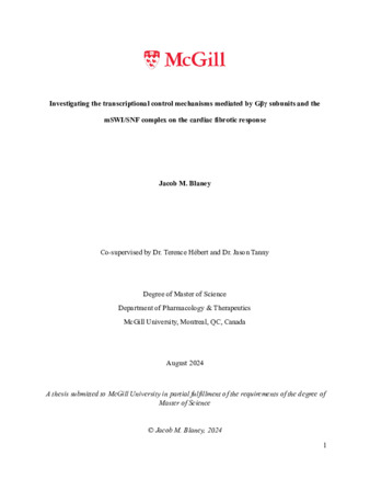 Investigating the transcriptional control mechanisms mediated by Gβγ subunits and the mSWI/SNF complex on the cardiac fibrotic response thumbnail