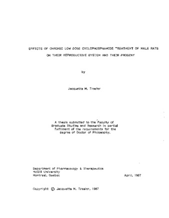 Effects of Chronic Low Dose Cyclophosphamide Treatment of Male Rats on the Reproductive System and the Pregnancy Outcome thumbnail