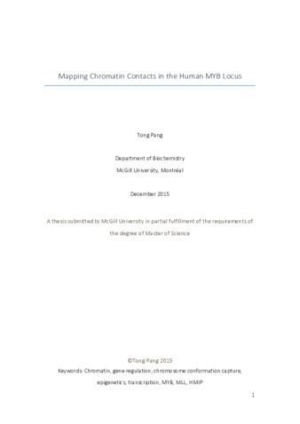 Mapping chromatin contacts in the human MYB locus thumbnail