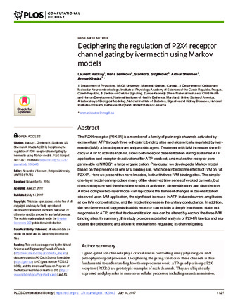 Deciphering the regulation of P2X4 receptor channel gating by ivermectin using Markov models thumbnail