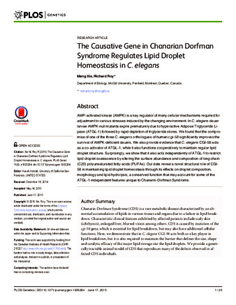 The Causative Gene in Chanarian Dorfman Syndrome Regulates Lipid Droplet Homeostasis in C. elegans thumbnail