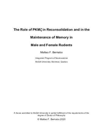 The role of PKMζ in reconsolidation and in the maintenance of memory in male and female rodents thumbnail