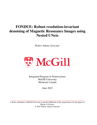 FONDUE: Robust resolution-invariant denoising of Magnetic Resonance Images using Nested UNets thumbnail