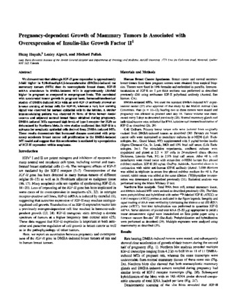 Pregnancy - dependent growth of mammary tumors is associated with overexpression of insulin-like growth factor II thumbnail