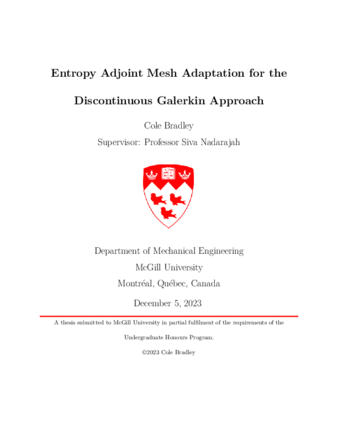 Entropy Adjoint Mesh Adaptation for the Discontinuous Galerkin Approach thumbnail