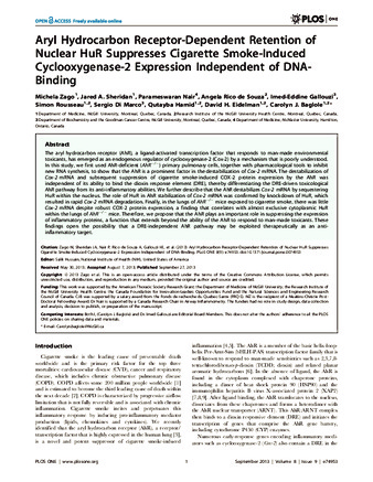 Aryl Hydrocarbon Receptor-Dependent Retention of Nuclear HuR Suppresses Cigarette Smoke-Induced Cyclooxygenase-2 Expression Independent of DNA-Binding thumbnail