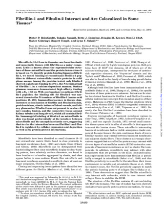 Fibrillin-1 and Fibulin-2 Interact and Are Colocalized in Some Tissues thumbnail