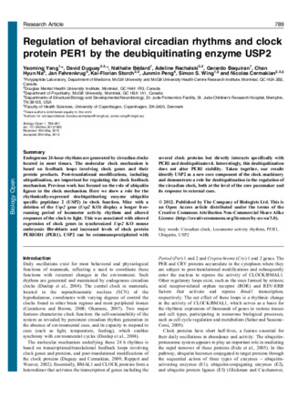 Regulation of behavioral circadian rhythms and clock protein PER1 by the deubiquitinating enzyme USP2  thumbnail