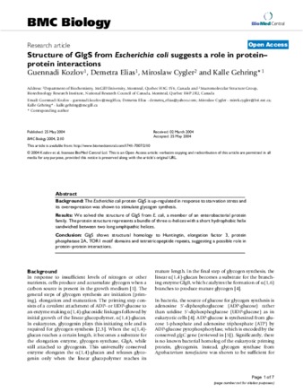 Structure of GlgS from Escherichia coli suggests a role in proteinprotein interactions thumbnail
