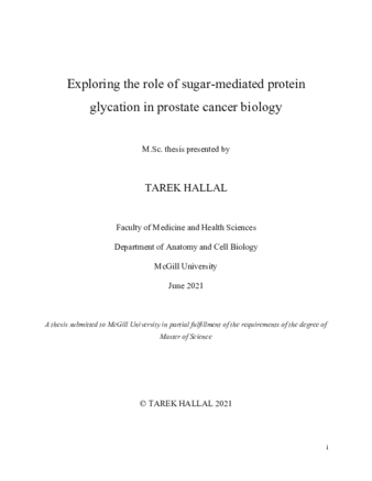 Exploring the role of sugar-mediated protein glycation in prostate cancer biology thumbnail