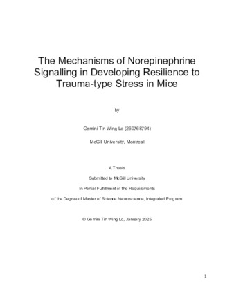 The mechanisms of norepinephrine signalling in developing resilience to trauma-type stress in mice thumbnail