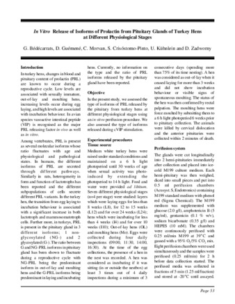 In Vitro Release of Isoforms of Prolactin from Pituitary Glands of Turkey Hens at Different Physiological Stages thumbnail