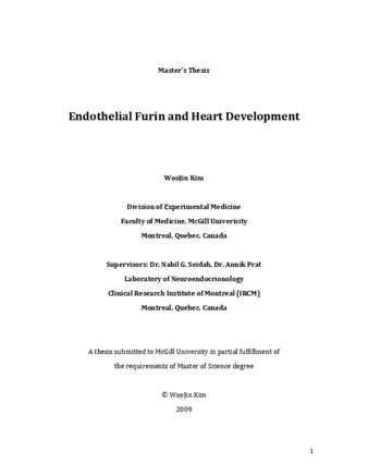 Endothelial furin and heart development thumbnail