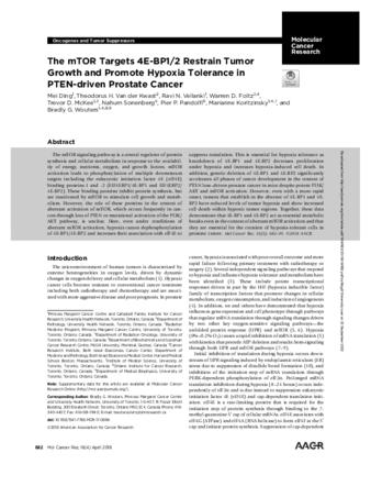 The mTOR Targets 4E-BP1/2 Restrain Tumor Growth and Promote Hypoxia Tolerance in PTEN-driven Prostate Cancer thumbnail