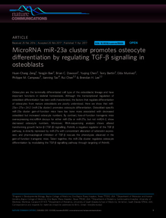 MicroRNA miR-23a cluster promotes osteocyte differentiation by regulating TGF-β signalling in osteoblasts thumbnail