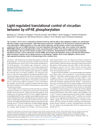 Light-regulated translational control of circadian behavior by eIF4E phosphorylation thumbnail