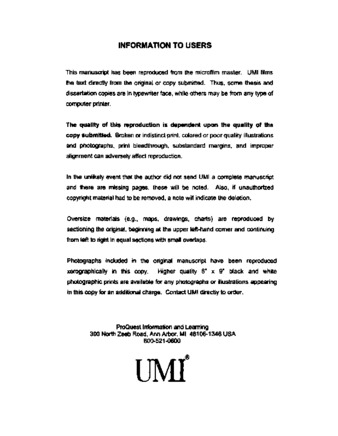 Democratic transition thesis 07 image