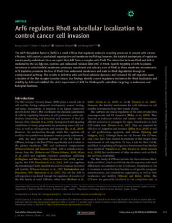Arf6 regulates RhoB subcellular localization to control cancer cell invasion thumbnail