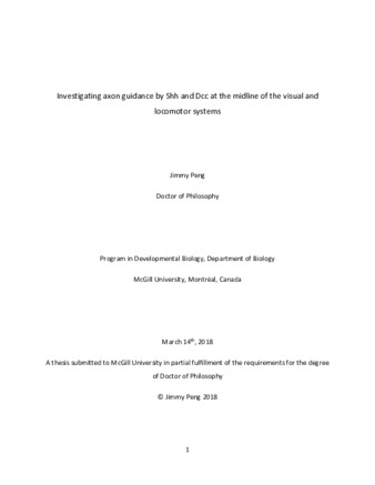 Investigating axon guidance by Shh and Dcc at the midline of the visual and locomotor systems thumbnail