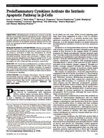 Proinflammatory Cytokines Activate the Intrinsic Apoptotic Pathway in β-Cells thumbnail