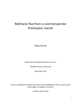 Methane flux from a cool-temperate freshwater marsh thumbnail