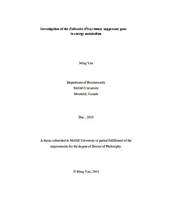 Investigation of the Folliculin (FLCN) tumor suppressor gene in energy metabolism thumbnail