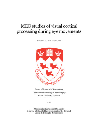 MEG studies of visual cortical processing during eye movements thumbnail