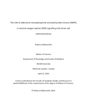 The role of adenosine monophosphate-activated protein kinase (AMPK) in reactive oxygen species (ROS) signalling and cancer cell thumbnail