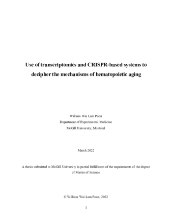 Use of transcriptomics and CRISPR-based systems to decipher the mechanisms of hematopoietic aging thumbnail