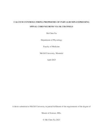 Calcium controls firing properties of parvalbumin-expressing spinal cord neurons via sk channels thumbnail