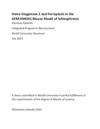 Heme Oxygenase-1 and Ferroptosis in the GFAP.HMOX1 Mouse Model of Schizophrenia thumbnail