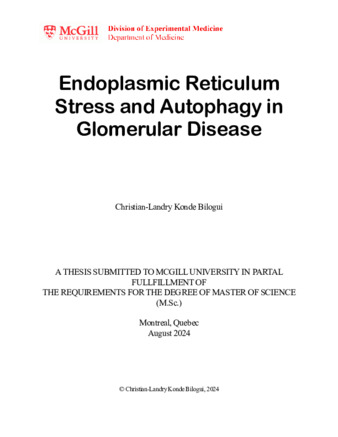 Endoplasmic Reticulum  Stress and Autophagy in Glomerular Disease thumbnail